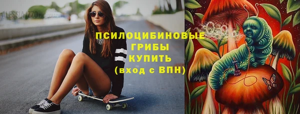 хмурый Алексеевка